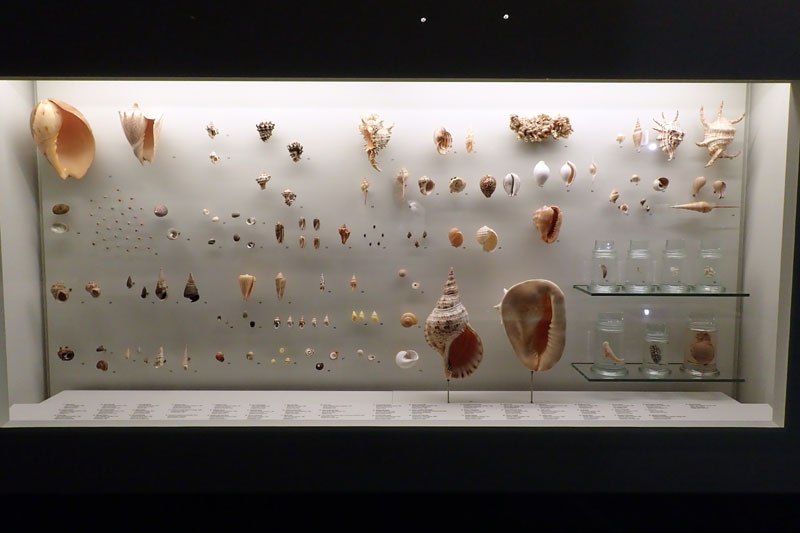 P4260109-copy.jpg