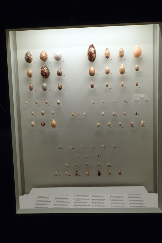 P4260111-copy.jpg