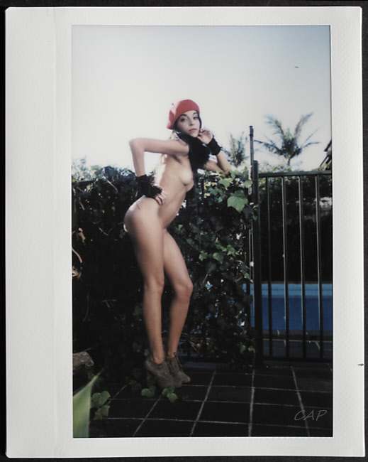 polaroid 0733-1