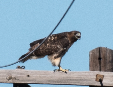 RCD_7700.jpg