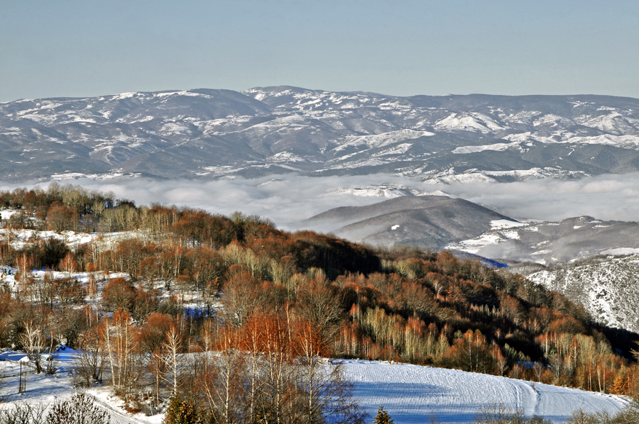 Kopaonik Mountain