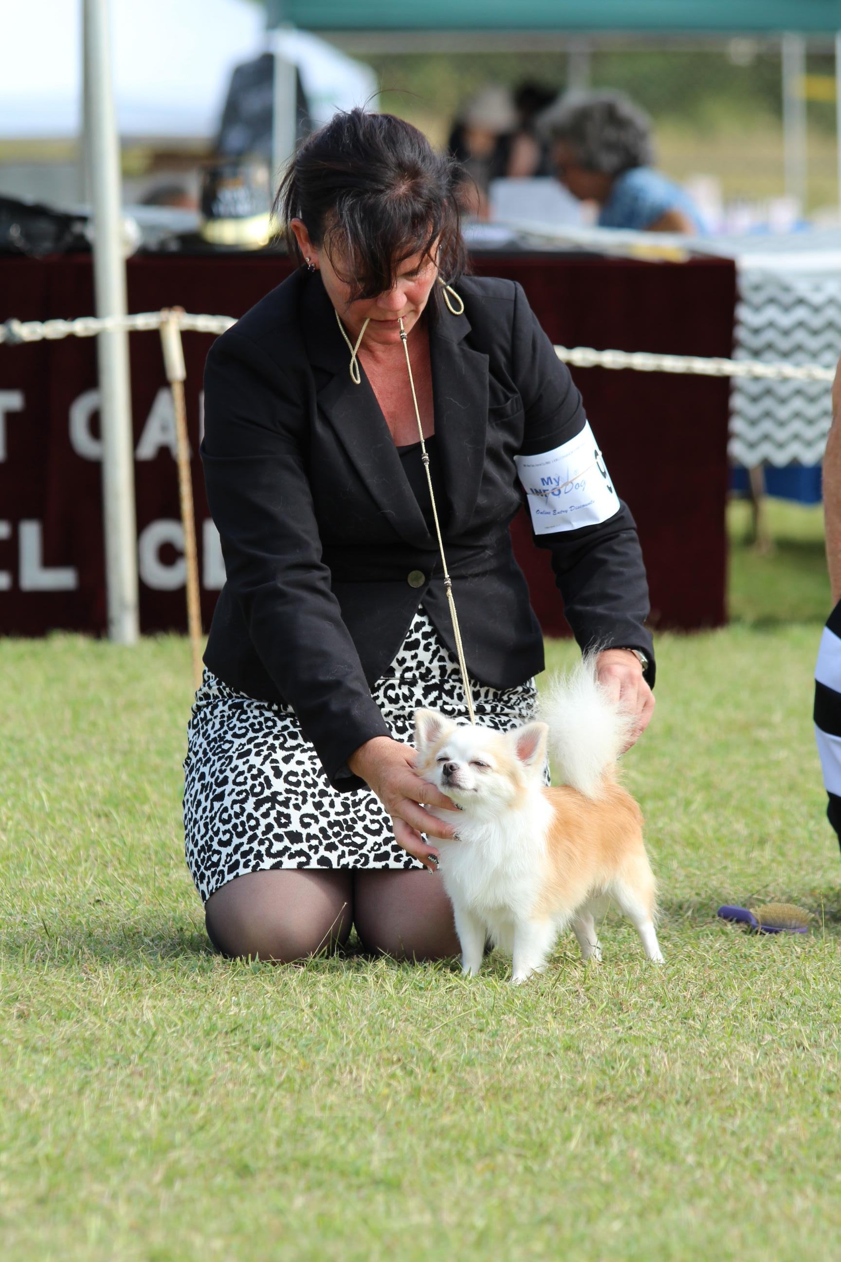 Taser at January 2015 West Oahu shows