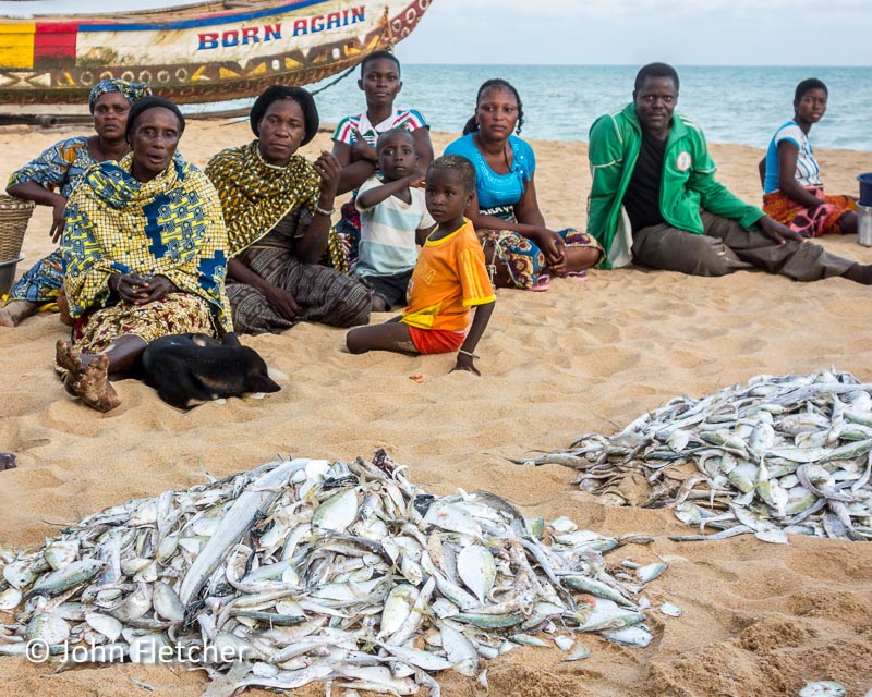 Waiting for Their Share of the Catch