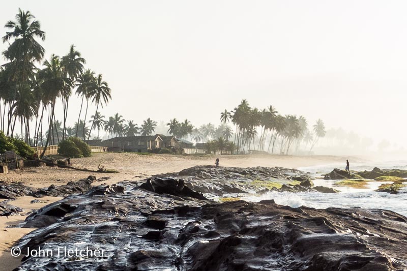 Misty Morning