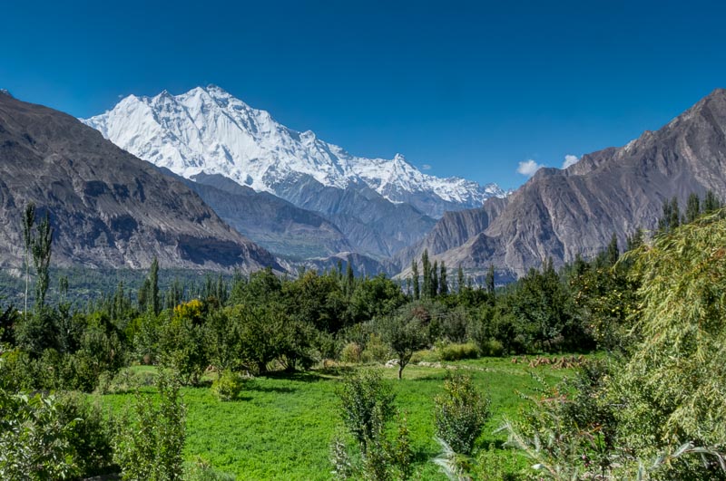 Rakaposhi