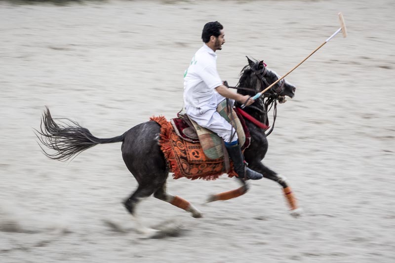 Spirited Steed