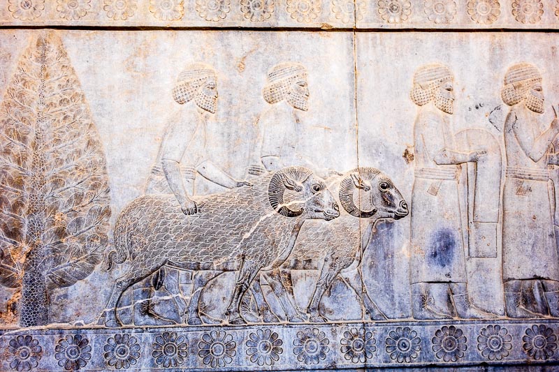 Relief Detail