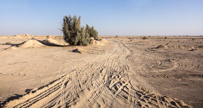 Desert
