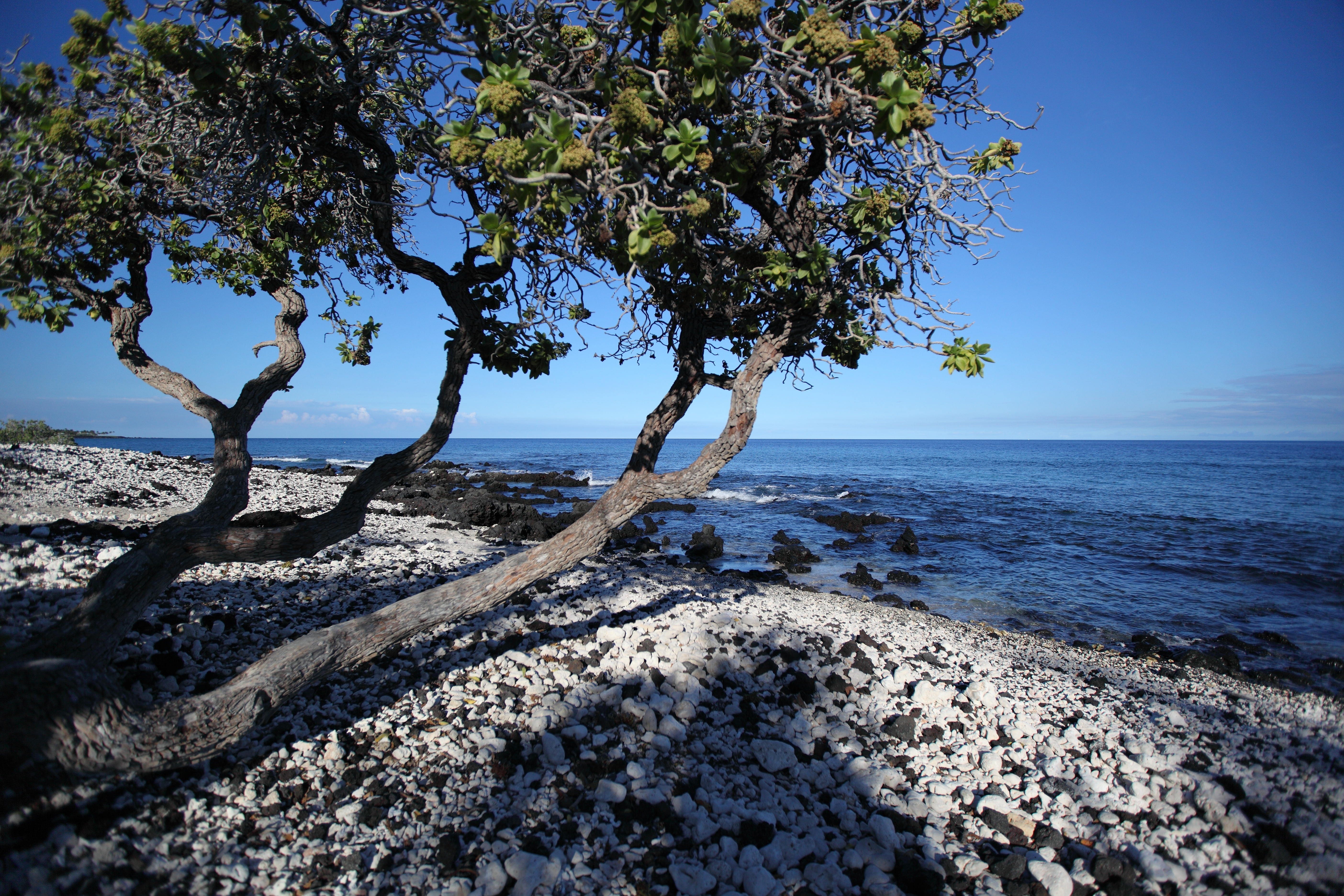 From Holoholokai Beach Park, adjacent to the Petroglyph Preserve