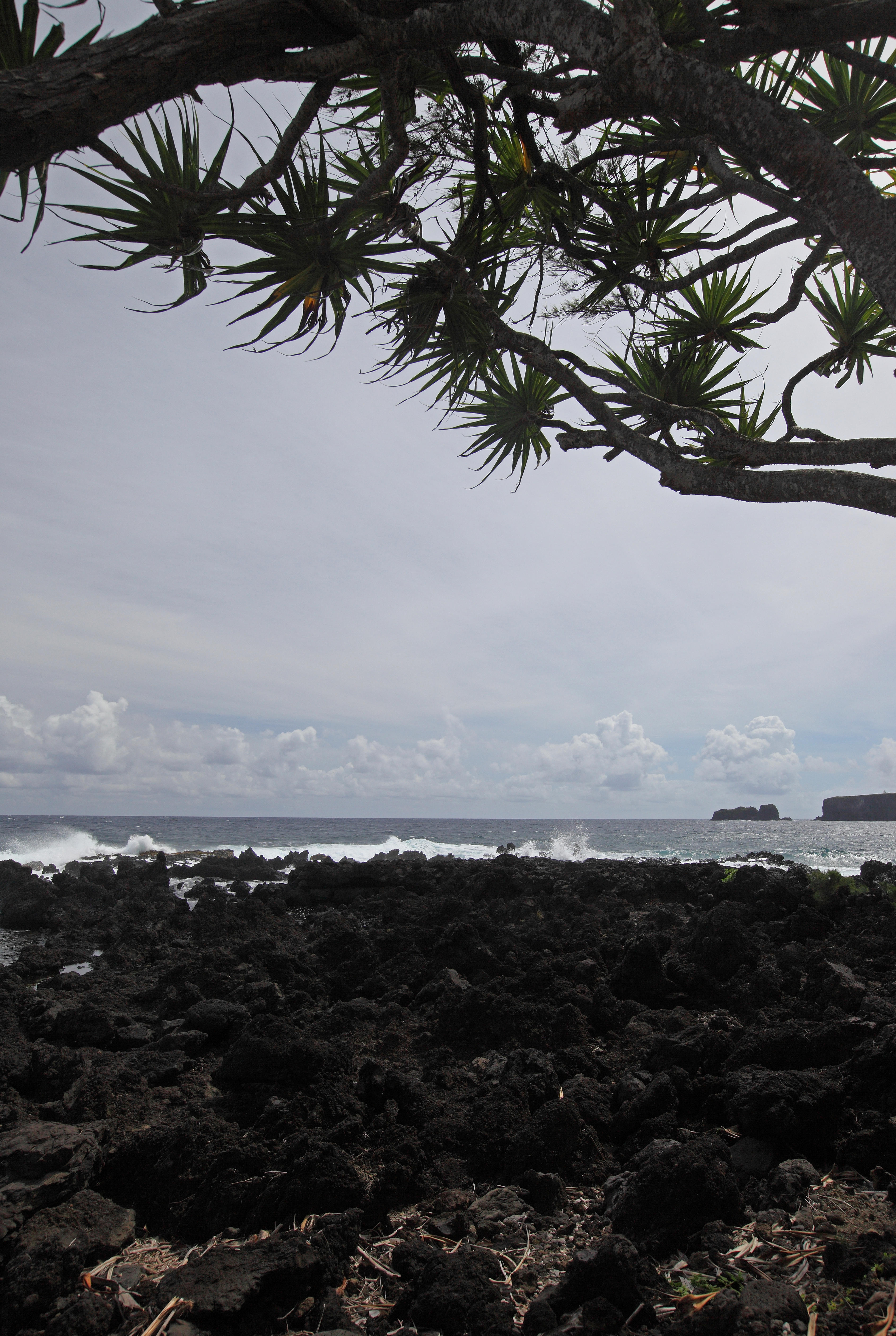 Keanae Peninsula - 4