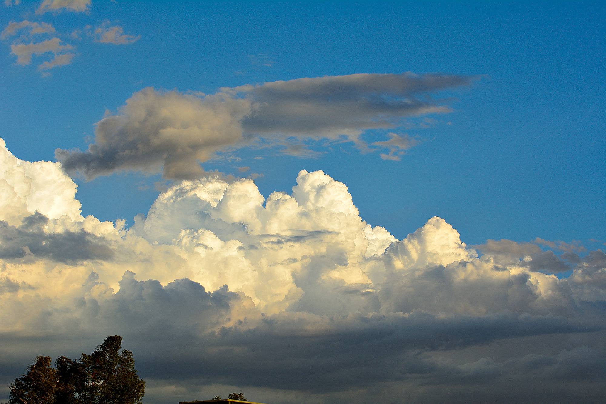 D75_0360.jpg