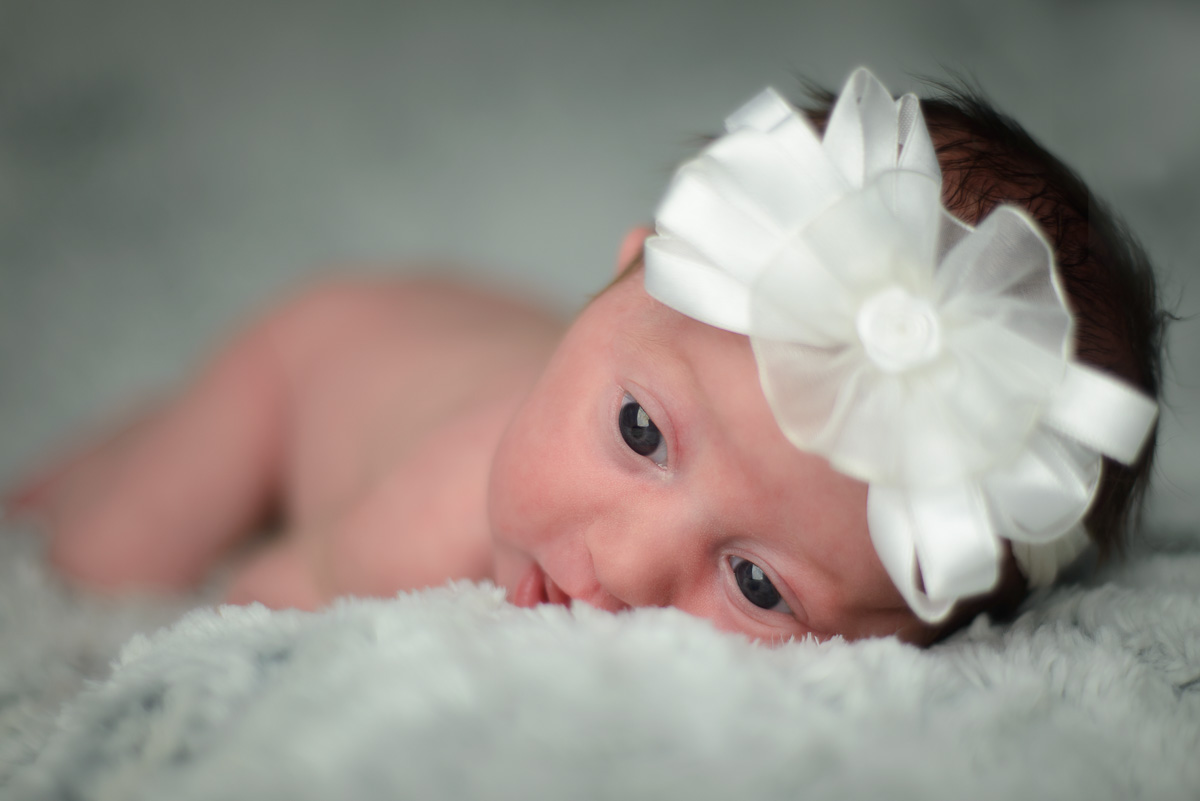 newbornsession-50.jpg