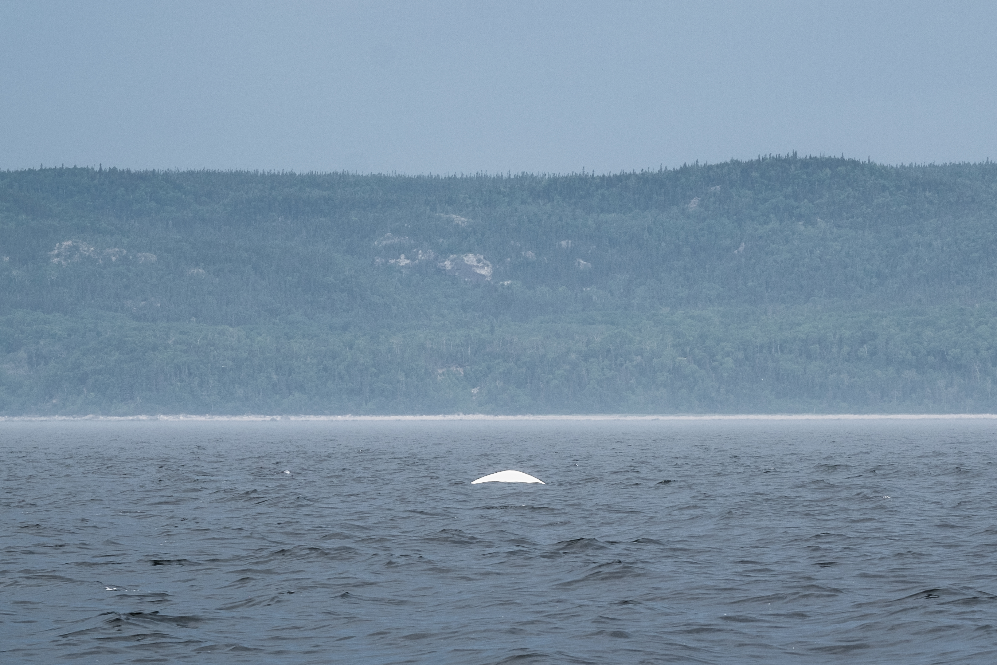 Quebec2016-82.jpg
