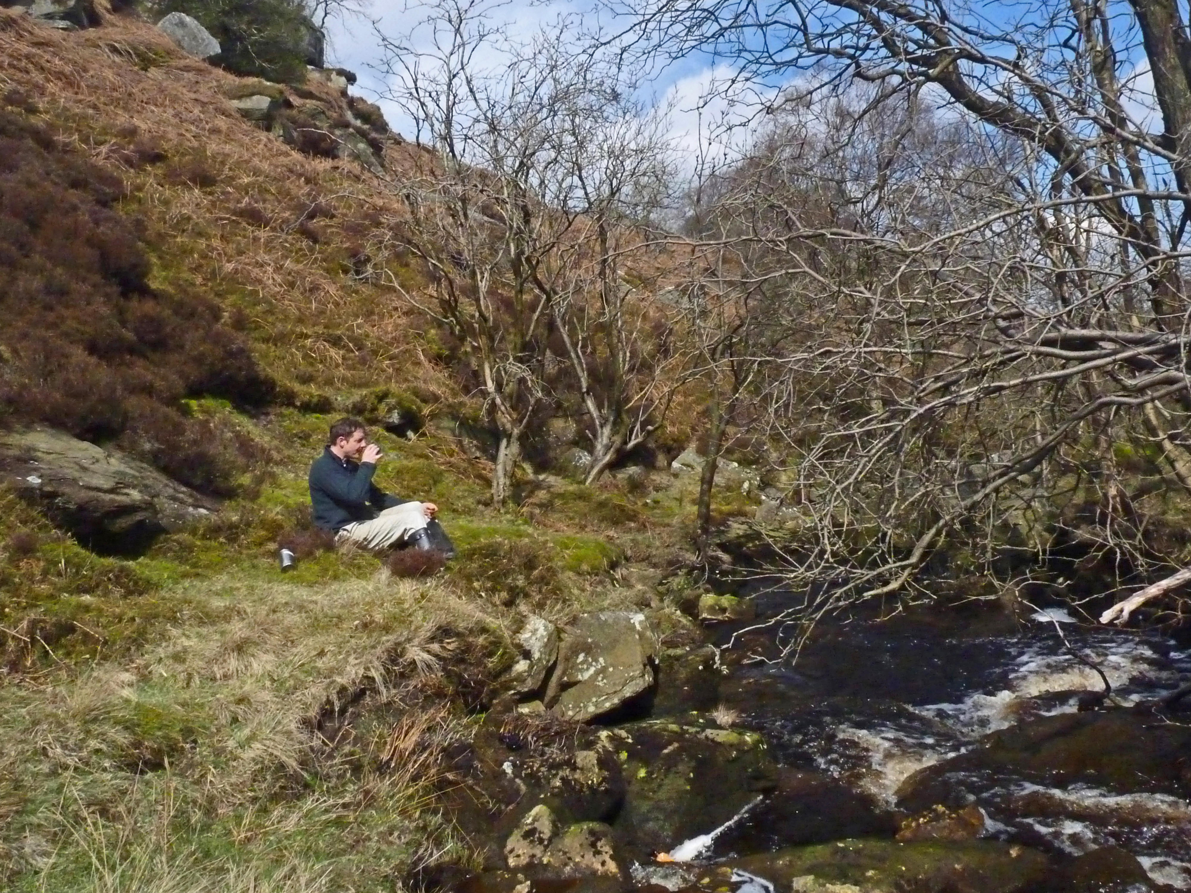 Ravensgill