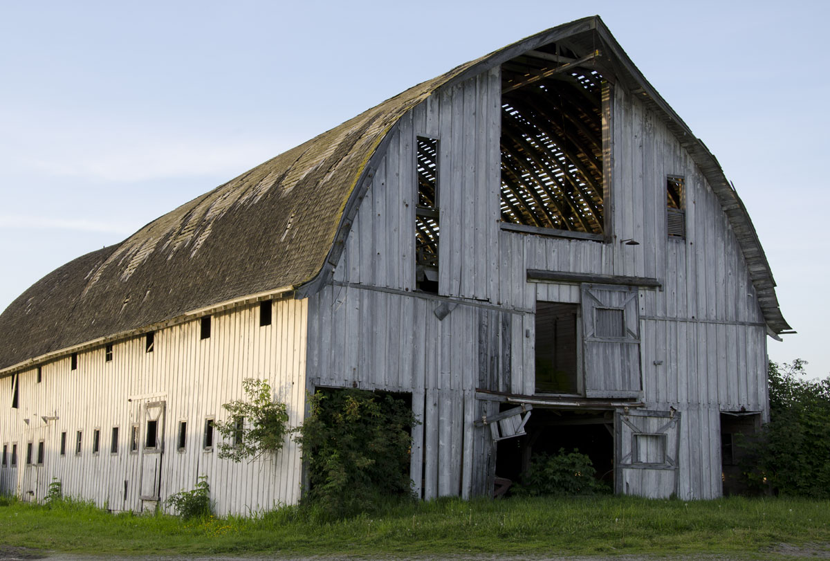 dairy barn