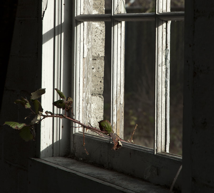 OldCityShop.jpg