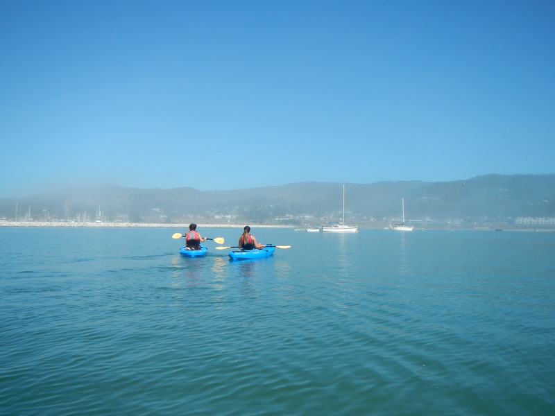 Pillar Point Harbor paddle October 2015, Columbus Day