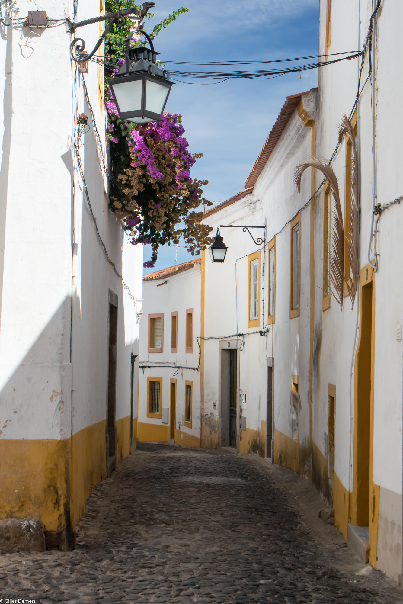 Rue typique de vora / Rua da vora