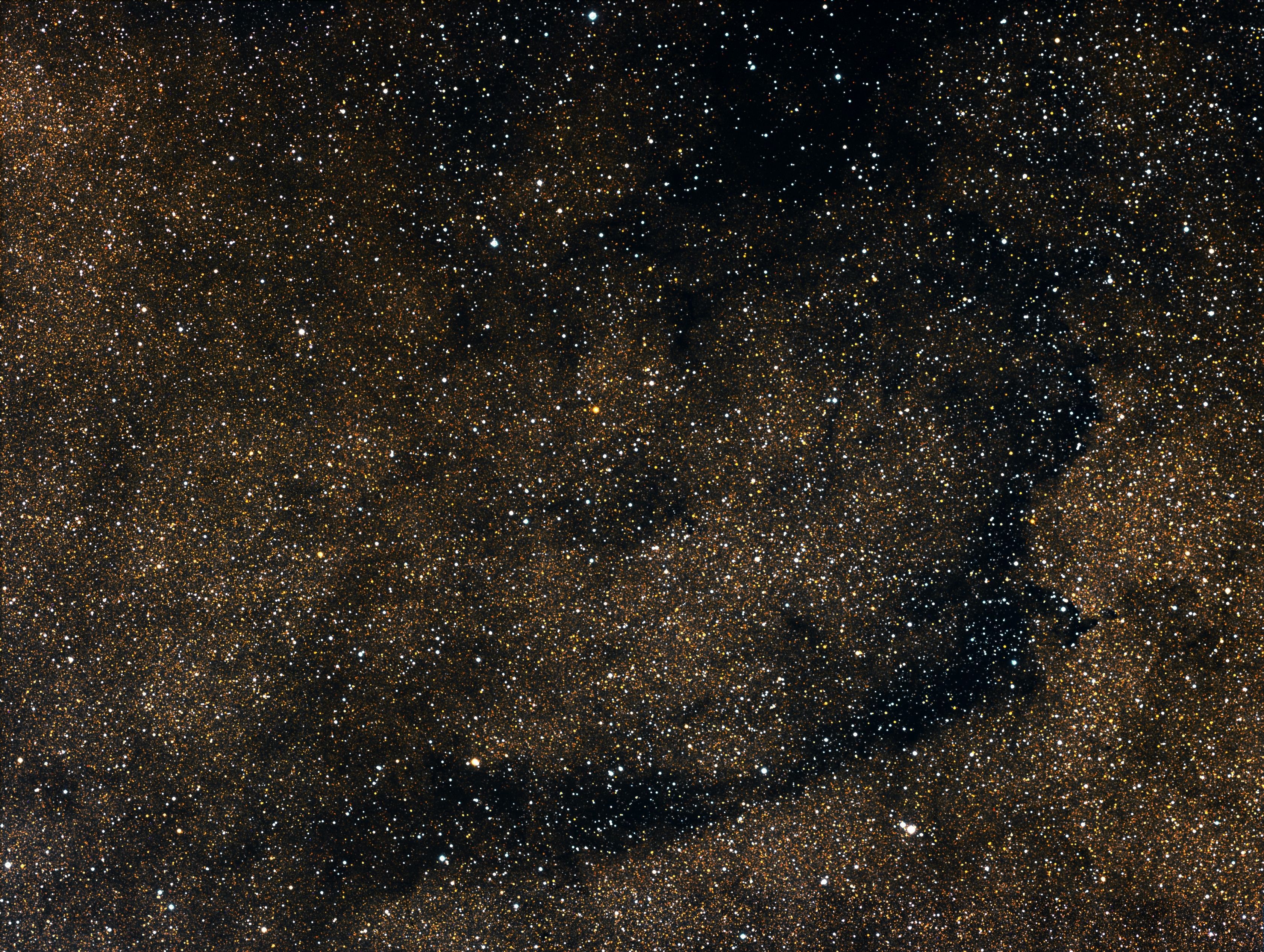 B283 dark nebula (The Lizard nebula)
