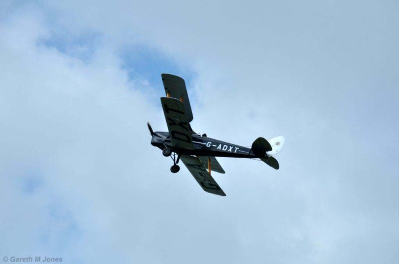 Tiger Moth 3303