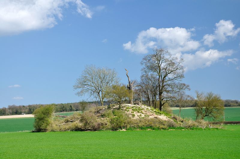 Knowlton 0813
