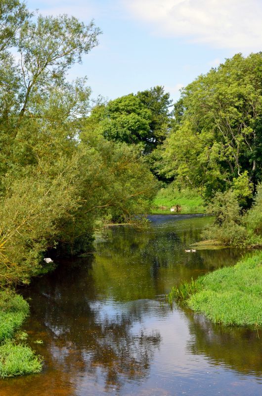 White Mill 3578