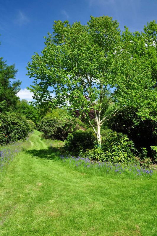Charborough Park 0007