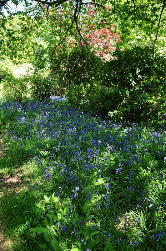 Charborough Park 0015