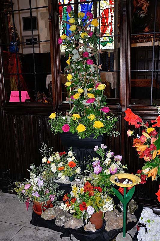 Wimborne St Giles 5725