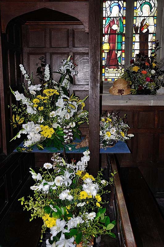 Wimborne St Giles 5734