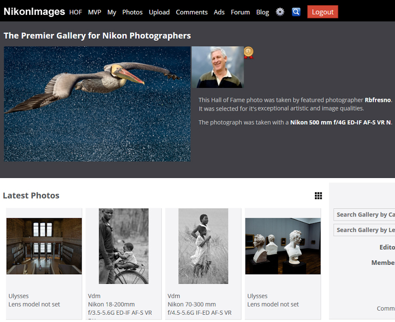 NikonFeaturedPhotographerCropA1.jpg