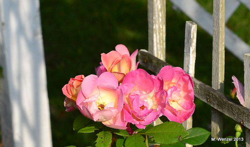 DRW_8958.JPG