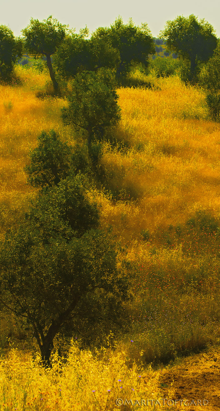 Exciting Alentejo in Portugal.