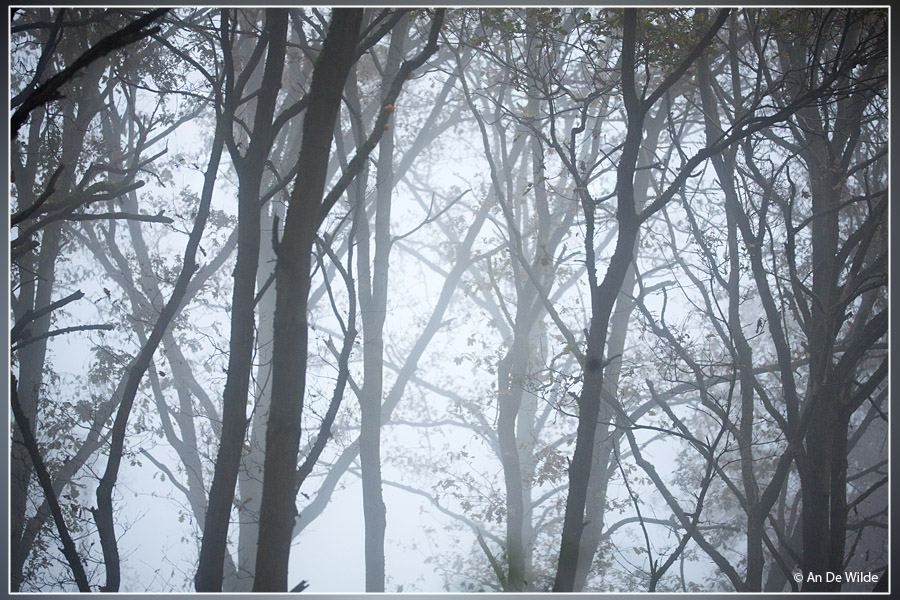 Mist ... mist ... mist ...