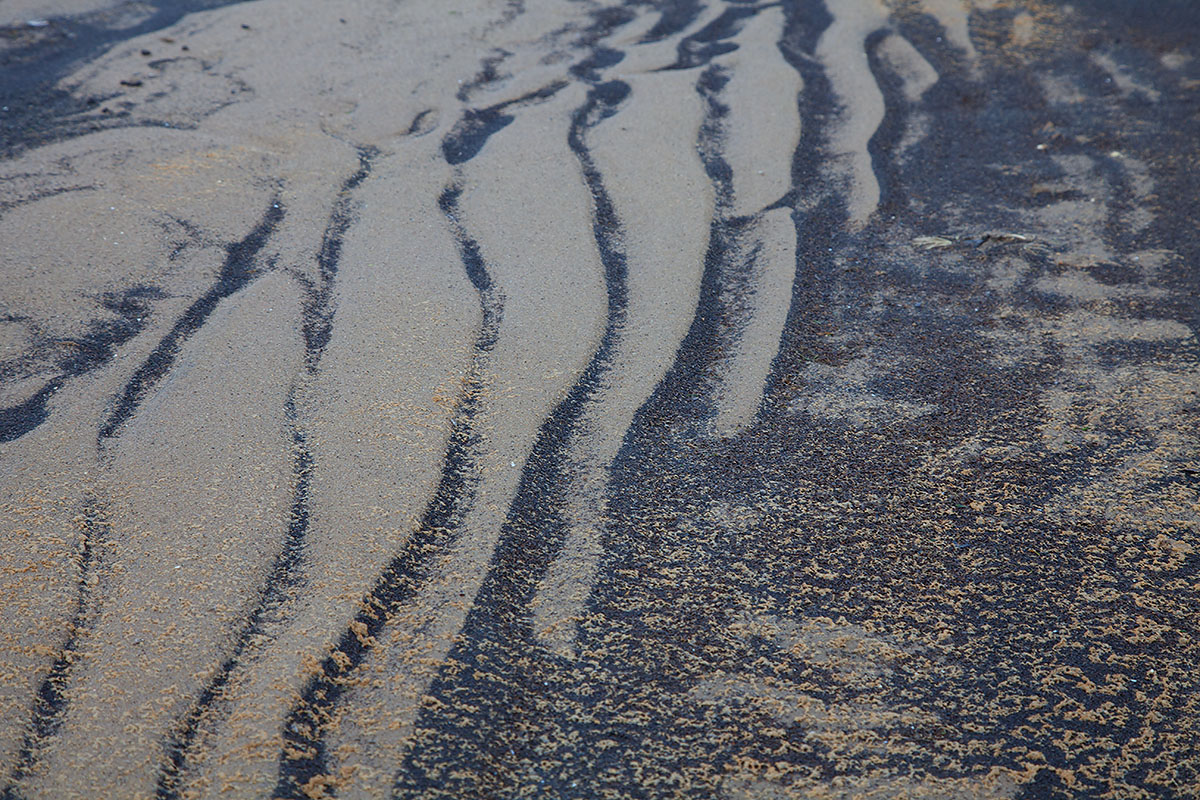 2014-02-17 ijsselmonding 3.jpg