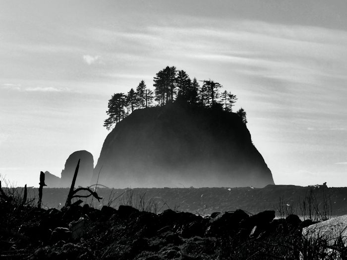 DSCF1579.jpg