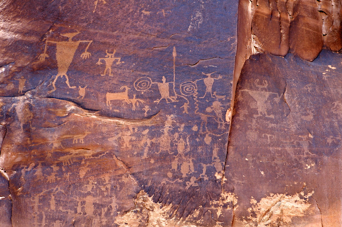 Potash Warrior Panel