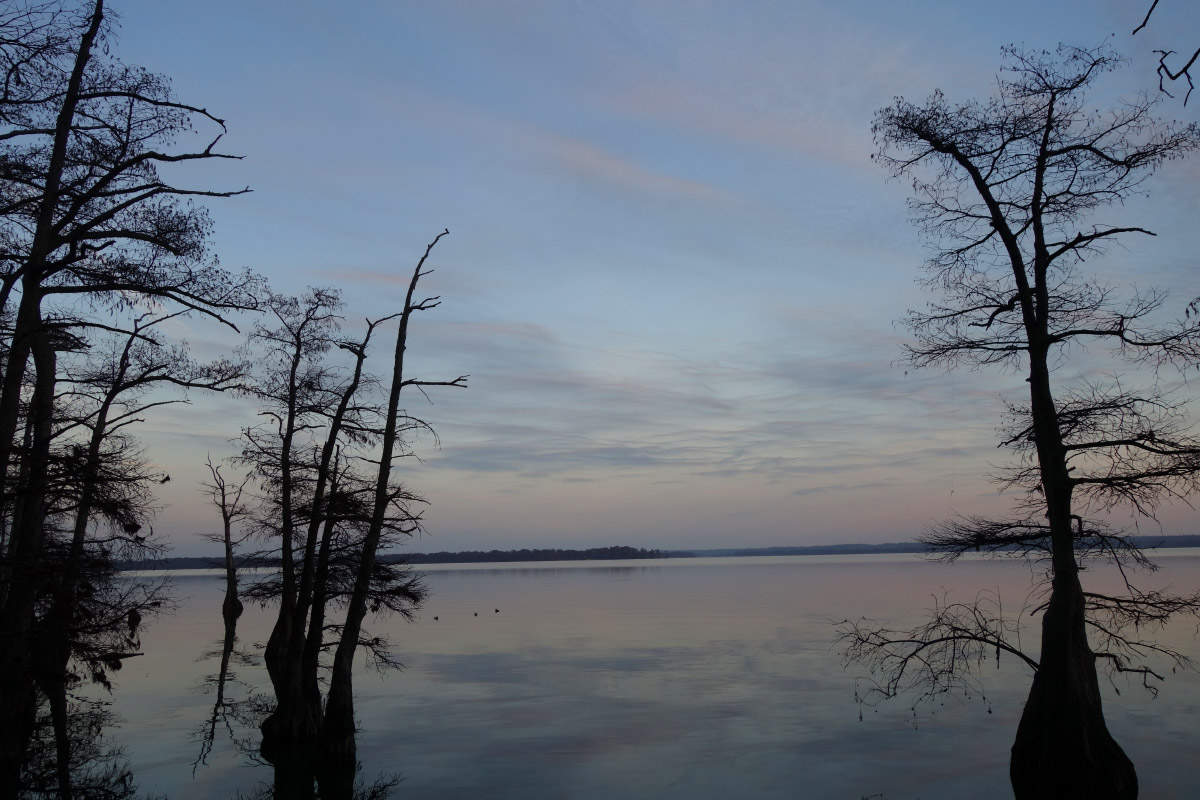 Reelfoot Lake