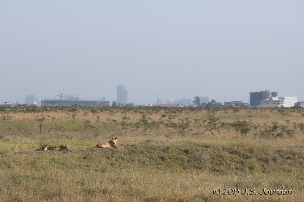 _AFR7066NairobiNP.jpg