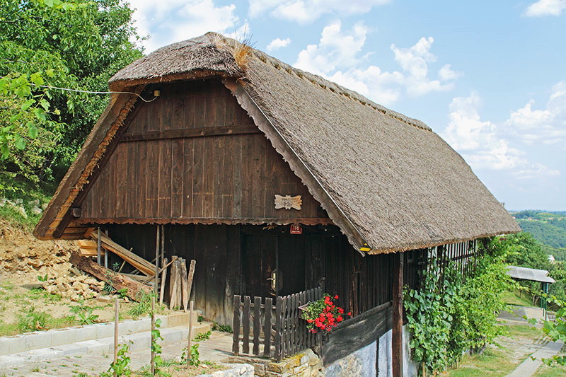 Traditional house from Haloze tradicionalna hia iz Haloz _MG_9162-11.jpg
