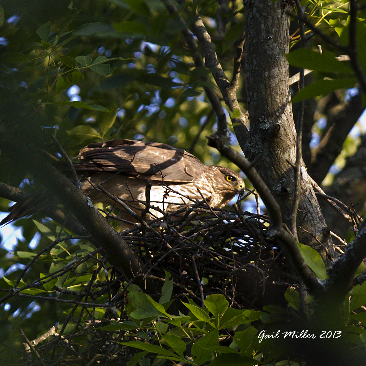 20130613_3304.jpg