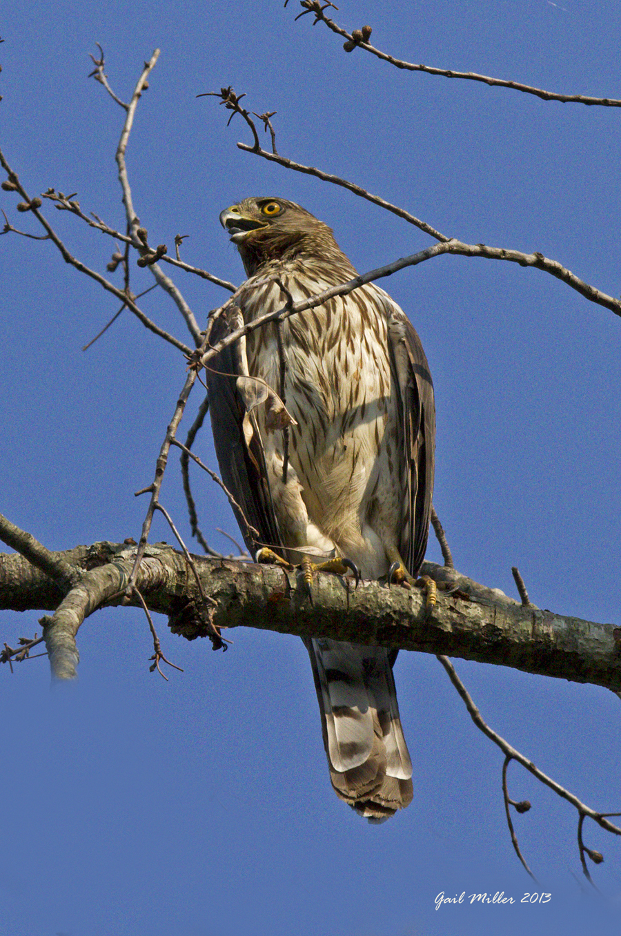 20130623_3837.jpg