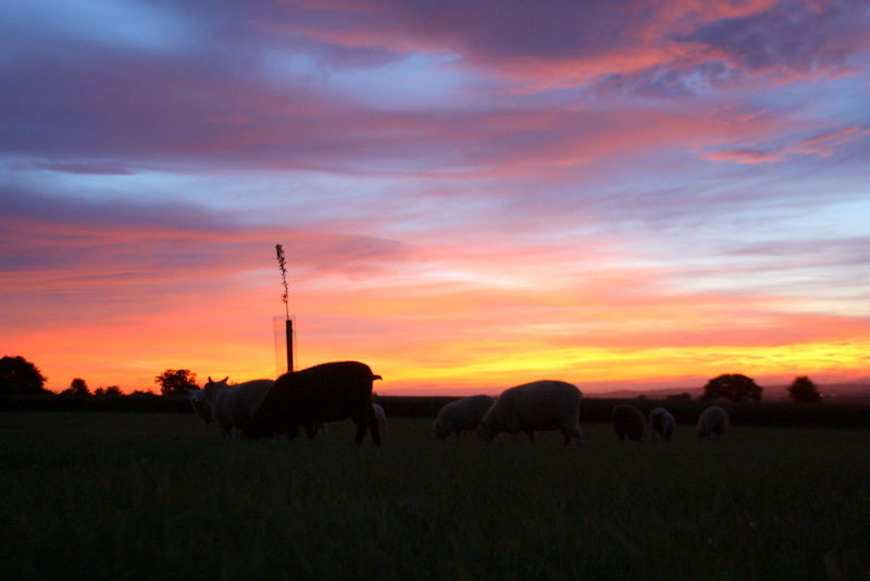 Red sky at night shepherds delight 