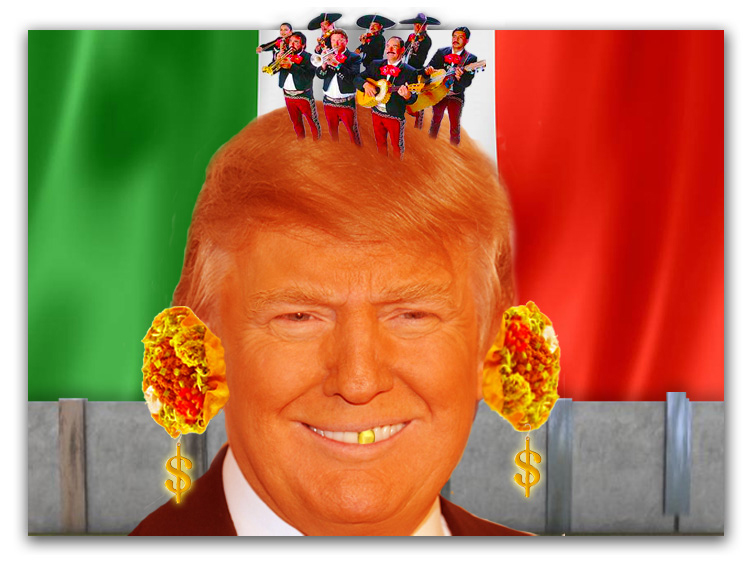 Taco Bowl Trump