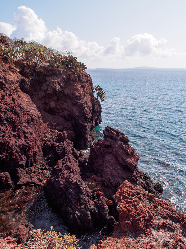 Rabida Island
