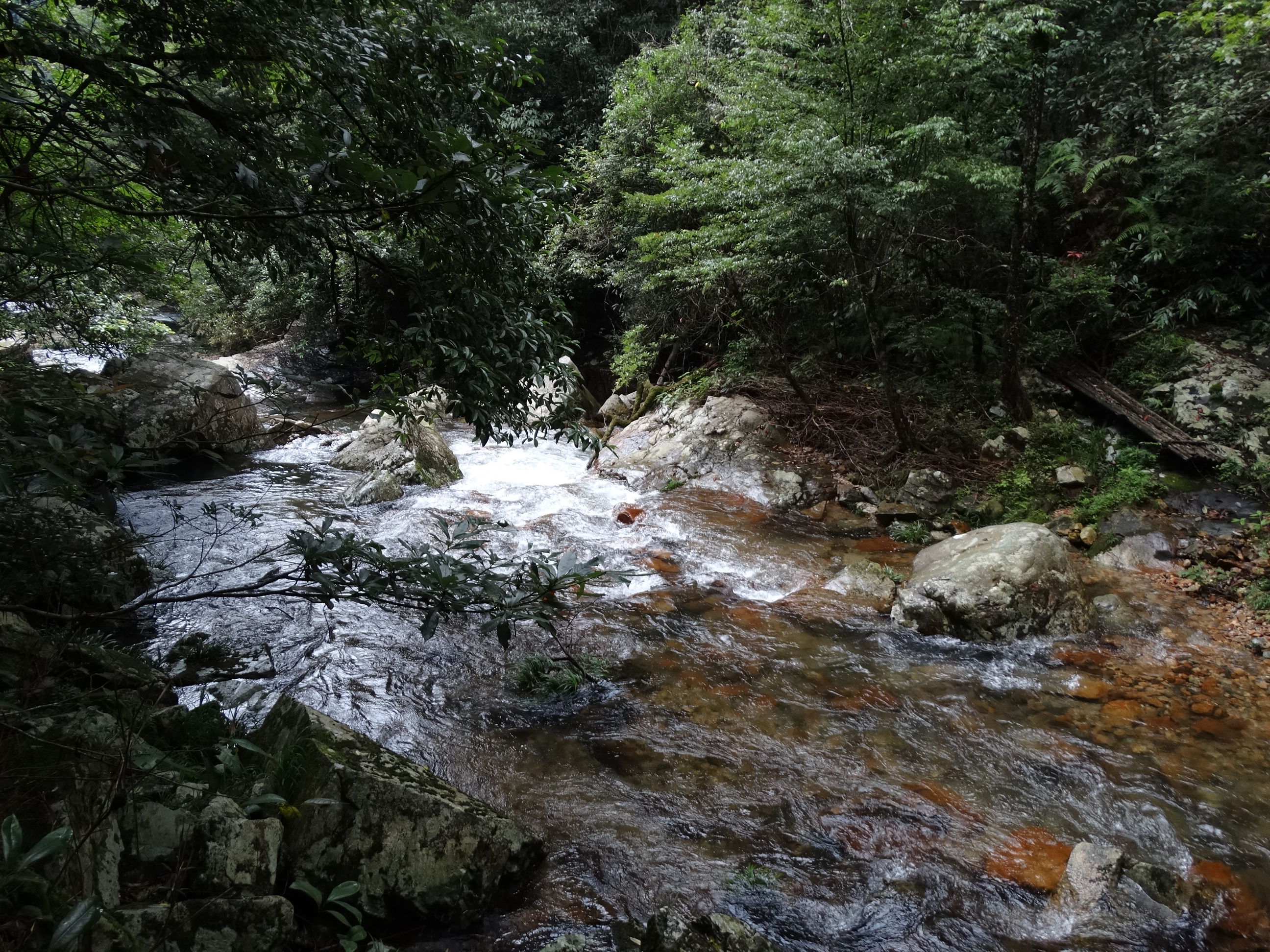 DSC03566.JPG