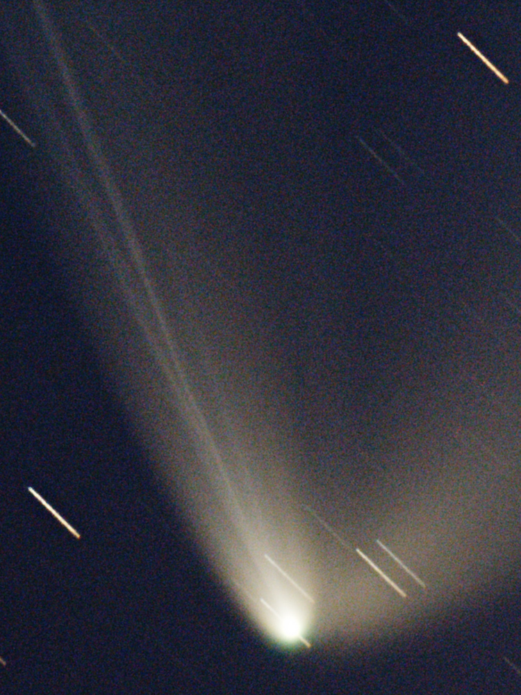 The many tails of Comet PanSTARRS