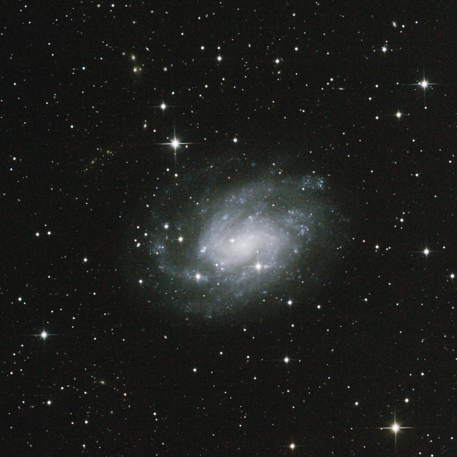 NGC300