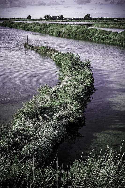 Marais salant