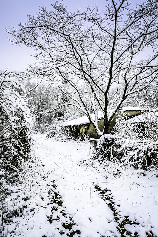 149412529.UB4lPeuy.pb_Neige_09.jpg